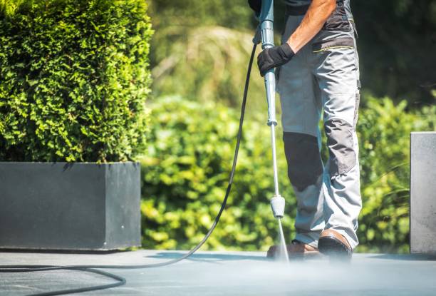 Best Animal Enclosure Cleaning  in Wake Village, TX