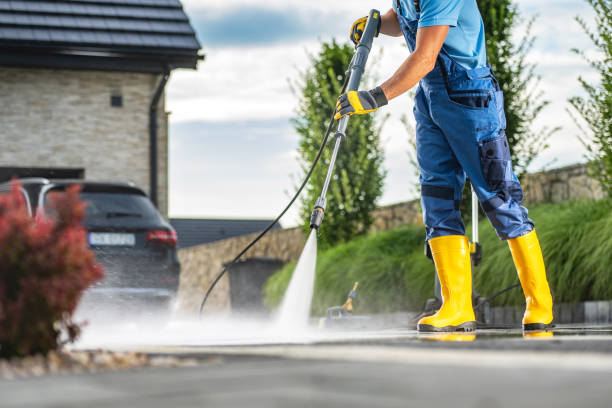 Animal Enclosure Cleaning in Wake Village, TX